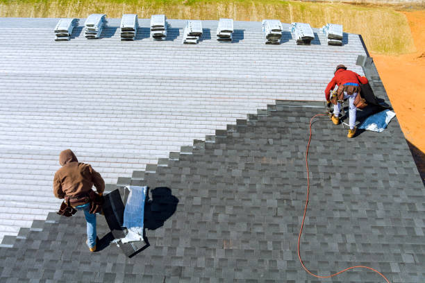 Best Storm Damage Roof Repair  in Chatham, IL