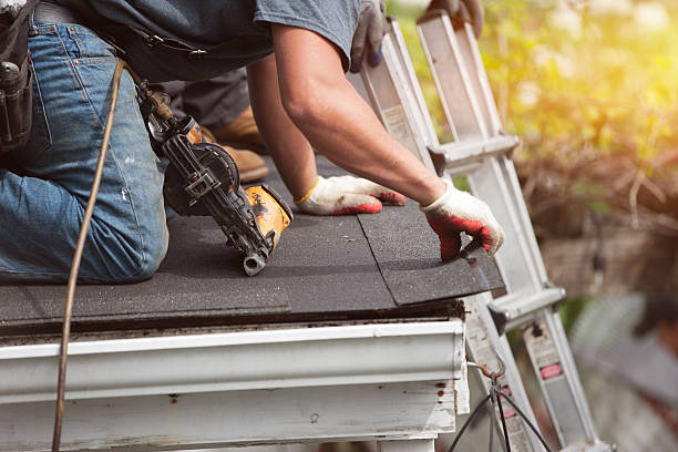 Best Roof Gutter Cleaning  in Chatham, IL