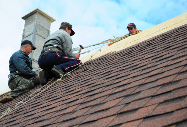 Best Flat Roof Repair Services  in Chatham, IL