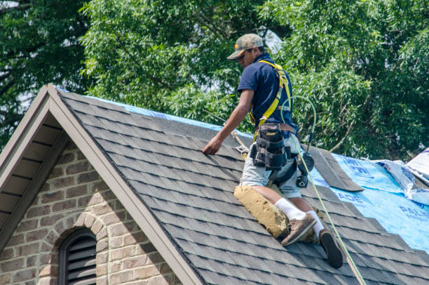 Roof Repair Estimates in Chatham, IL