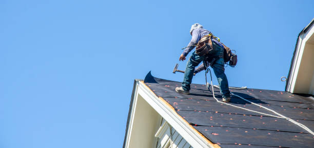 Best Commercial Roofing Services  in Chatham, IL